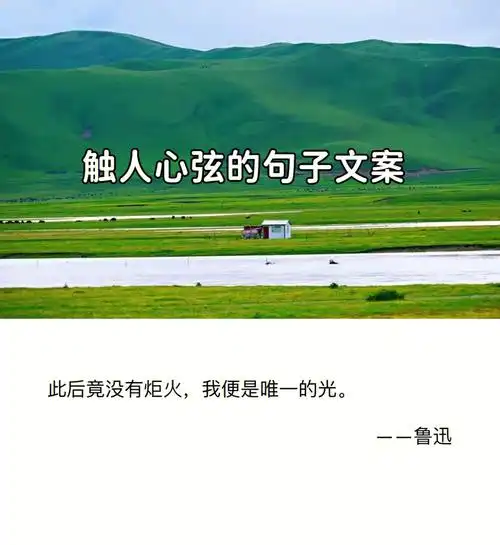 触人心弦的句子文案