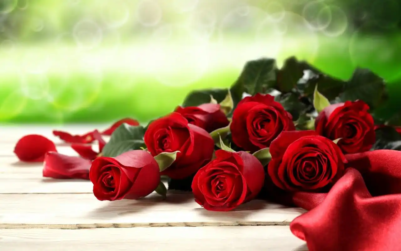 漂亮玫瑰花桌面壁纸_唯美的爱情玫瑰花