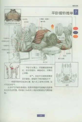哑铃锻炼全身各部位肌肉方法图解_hiukwantung--名字响彻天堂_百度