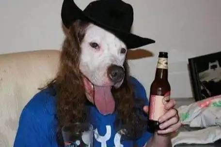 笑死人不偿命的12张搞笑图老司机你能憋到第几张