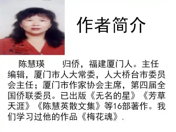 六年级语文上册第七课《彩色的翅膀》ppt课件