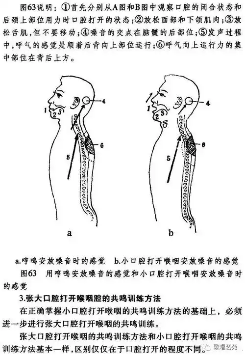 声乐训练七打开喉咽腔的共鸣训练法