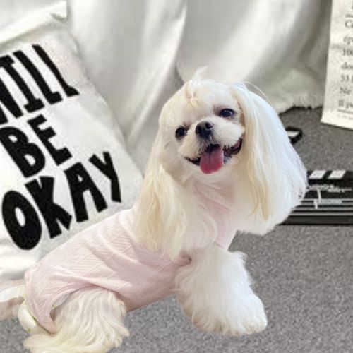 春秋夏季护肚空调衣 宝宝棉宠物狗狗泰迪小型犬手术包肚家居服