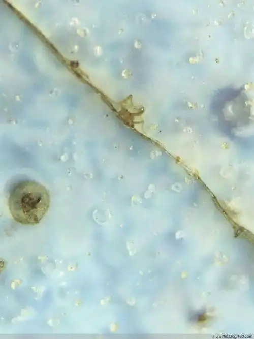 写美篇北宋汝窑天青釉弦纹三足樽微观放大100倍,有排列遵循气泡,釉上