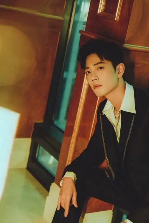 肖战- 堆糖,美图壁纸兴趣社区