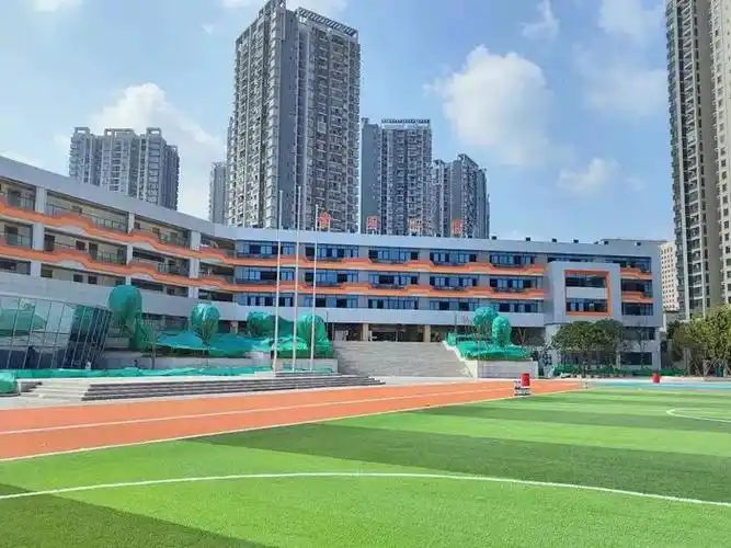 小学|新学校|占地面积_新浪新闻