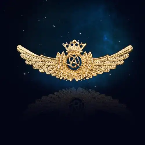 胸针男徽章 英伦风_男士西装胸针个性复古 翅膀别针皇冠英伦风胸花