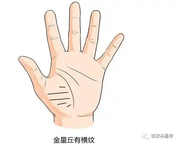 手相中的金星丘在什么位置及其所代表的的运势含义