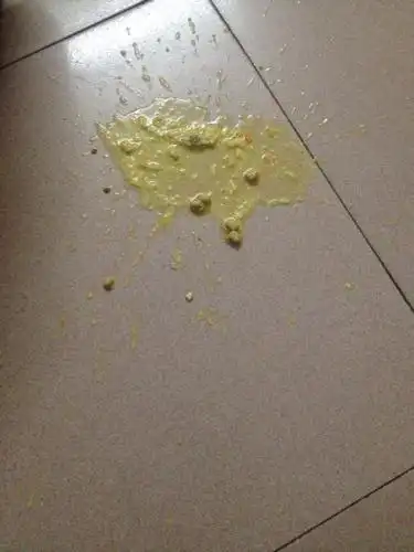 我家的贵宾狗狗昨晚把自己吃的饭吐出来一次,今天中午又发现吐了一次