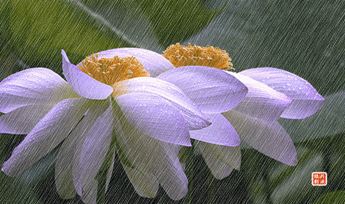 蜻蜓点水蝶觅踪.  不知今晚谁入梦?人醉酒酣到三更.