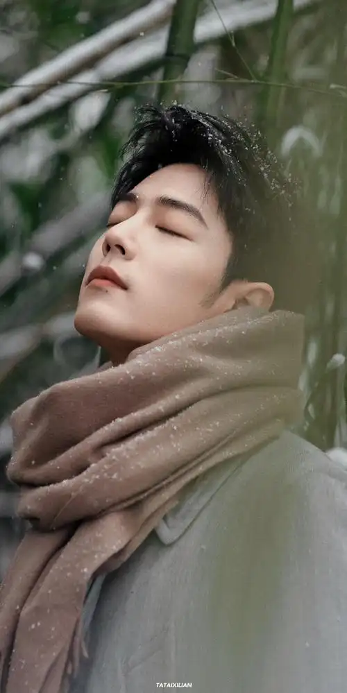 肖战冬至竹林大片##肖战盛阳