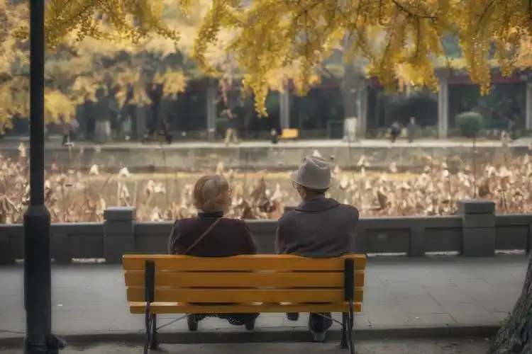 深冬在华西的荷花池旁,两个老人依偎着看银杏飘落,让我感觉不到冬天的