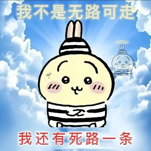 的朋友,它们有着水汪汪的豆豆眼和人畜无害的可爱面容,但表情包搭配的