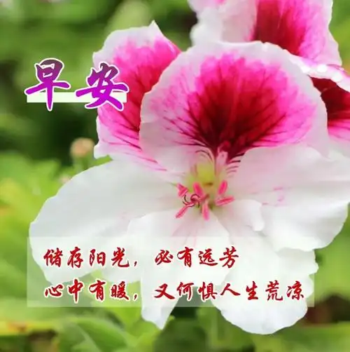 优美动态图片早安问候语,祝你开心!幸福!健康!