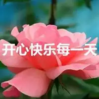 圈朋友圈文案素材文字六月开心每一天开心每一天祝你健康快乐每一天