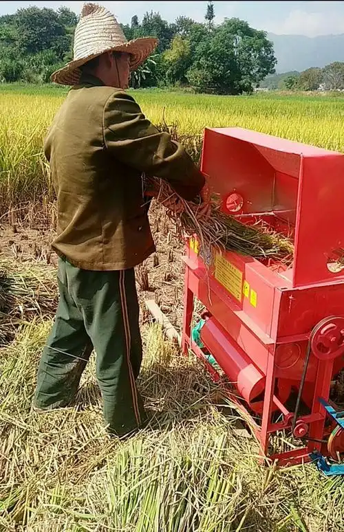 谷胭打谷机家用小型电动汽油柴油机稻谷脱粒机打稻禾机微型水稻收割机