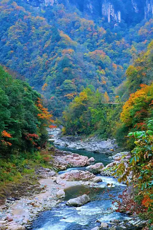 叶落轻寒呈玉露,深秋美景怡人目.一一秋色*秋韵:十六