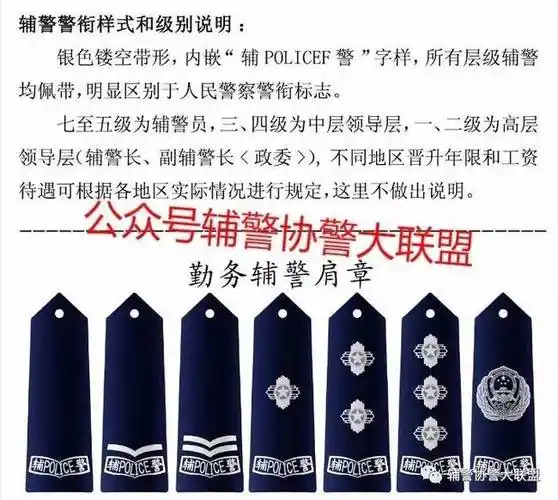 辅警警衔设计,太漂亮!好想来一套
