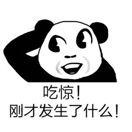 吃惊熊猫头发生了什么搞怪逗gif动图_动态图_表情包下载_soogif