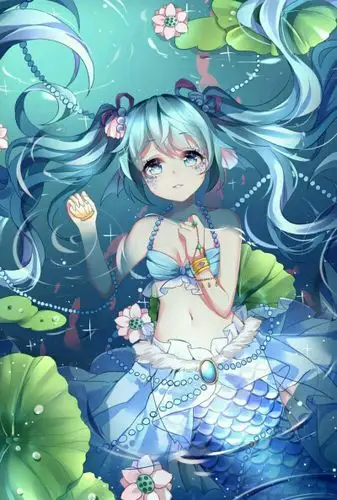人鱼miku