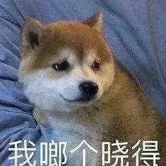 qq恶搞表情(撩人必备表情包可爱)