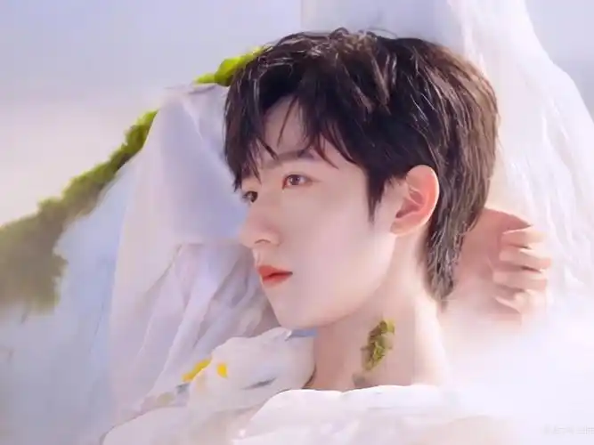 三时有声时代少年团贺峻霖