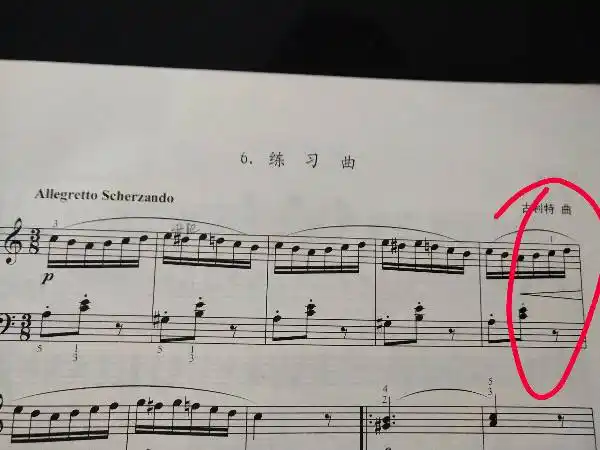 大神求解图里这个是要用1指弹do音的意思吗?