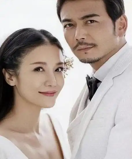 电视剧大笑剧照_杨烁:从红极一时到被万人嘲笑,成功也是"小包总",失败