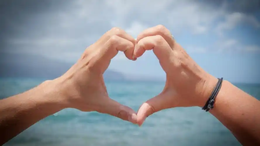 爱心手势
