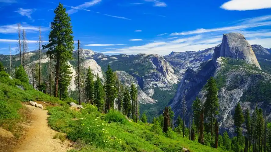 查看原图最佳查看高清显示