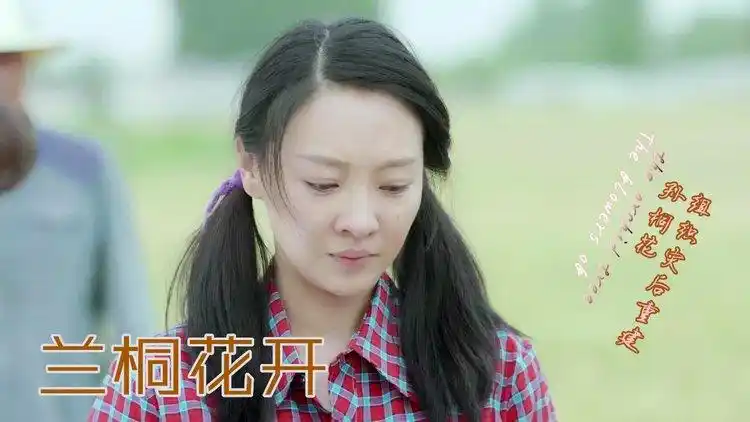 兰桐花开电视有这么好看吗大晚上不睡都跑来看电视