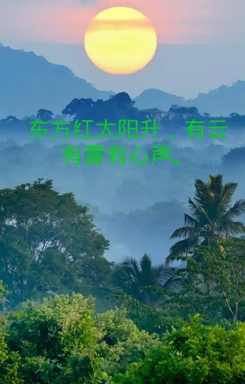 沉默是金33381