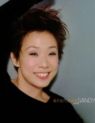 华语流行:(转)林忆莲《100cd》1985--2014/flac/ape/整轨/度盘