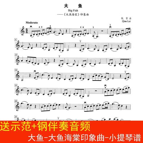 大鱼-大鱼海棠印象曲-小提琴谱 c调1页 送示范 钢伴奏音频