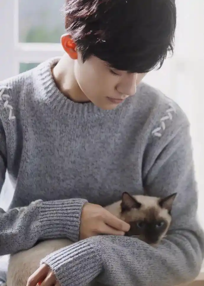 不同风格的易烊千玺,你更喜欢哪一个,快来看看吧