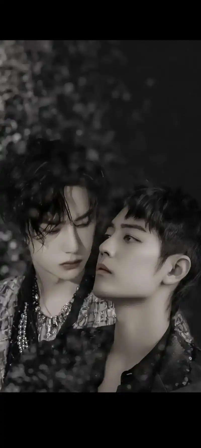 博君一肖我的cp天下第一甜承蒙你出现够我喜欢一辈子