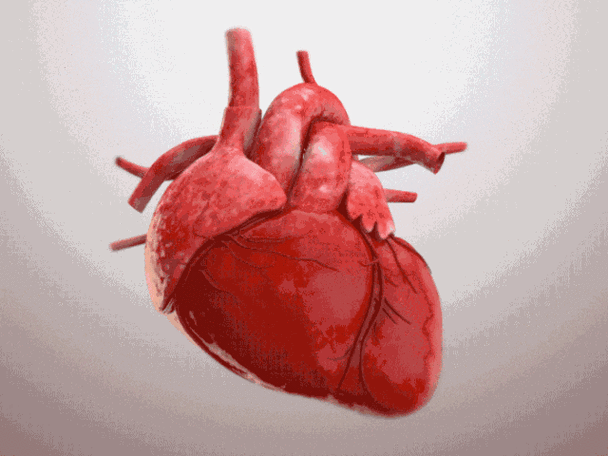 三伏天,脸上出现4个信号,心脏可能已经危险了!