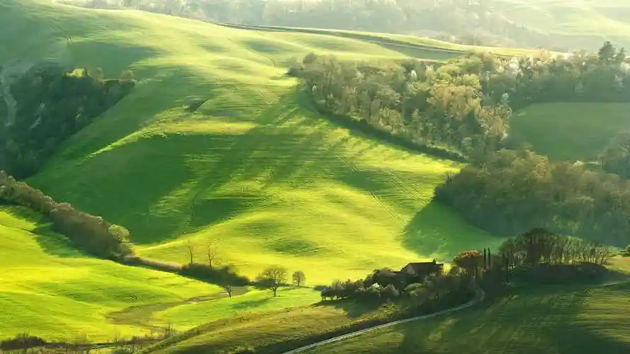 大自然风景绿色护眼壁纸