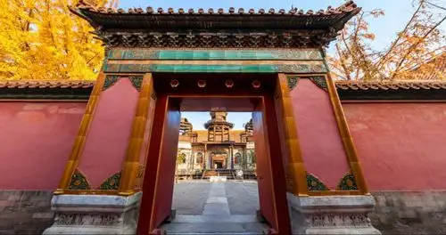 延禧宫是烂尾楼故宫院长一番话亮了网友总算知道剧中人为啥都很惨了