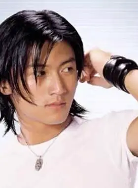 谢霆锋明星模仿袖假发男士中分长发耍酷年会歌手表演道具视频拍摄