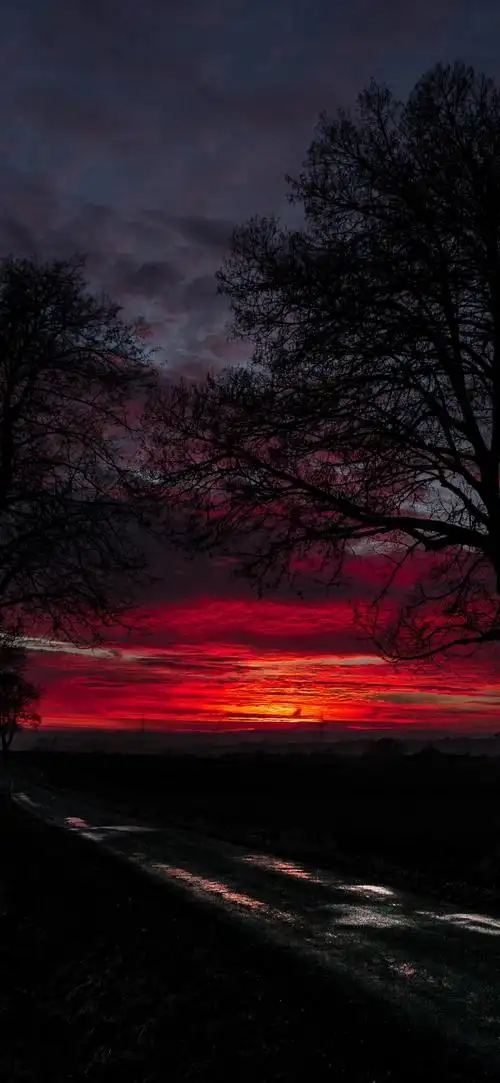 1080_2340竖版 竖屏