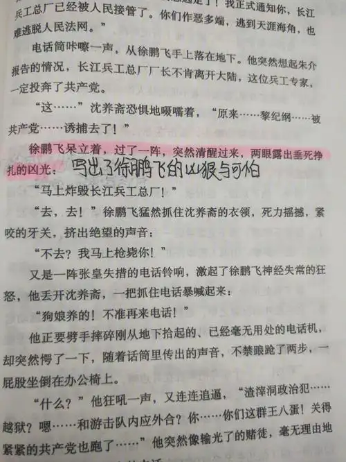 红岩第三十章批注②