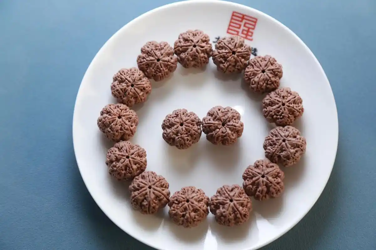 大强甄选出品六瓣雪花高山铁籽