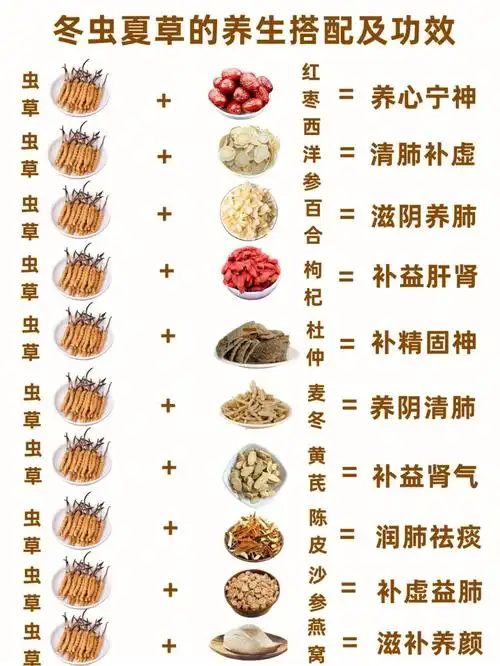 冬虫夏草的搭配及功效冬虫夏草的辨别