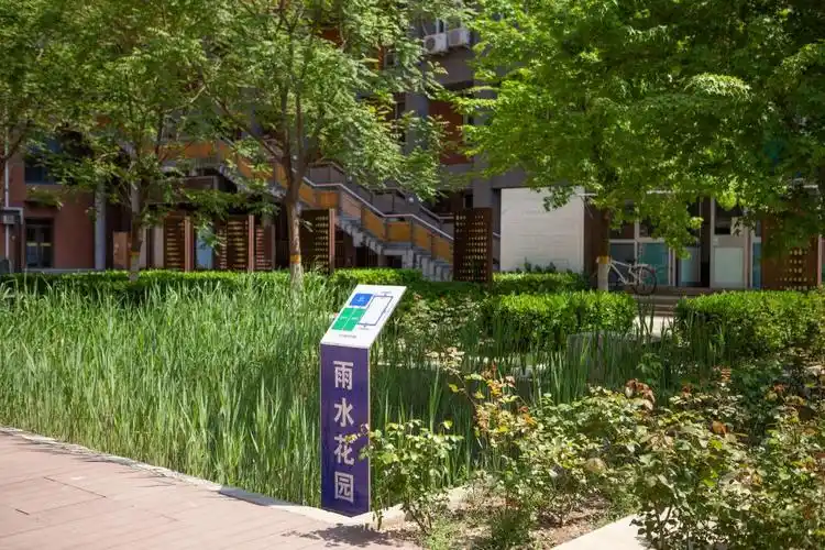图为北京交通大学的"雨水花园" 图片来源:北京交通大学
