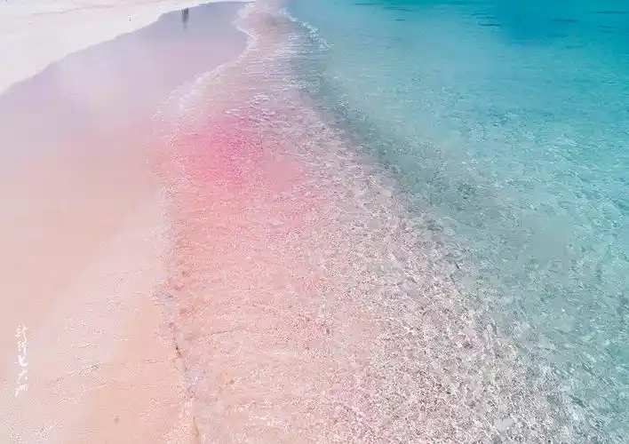 巴布达岛上的粉红沙滩