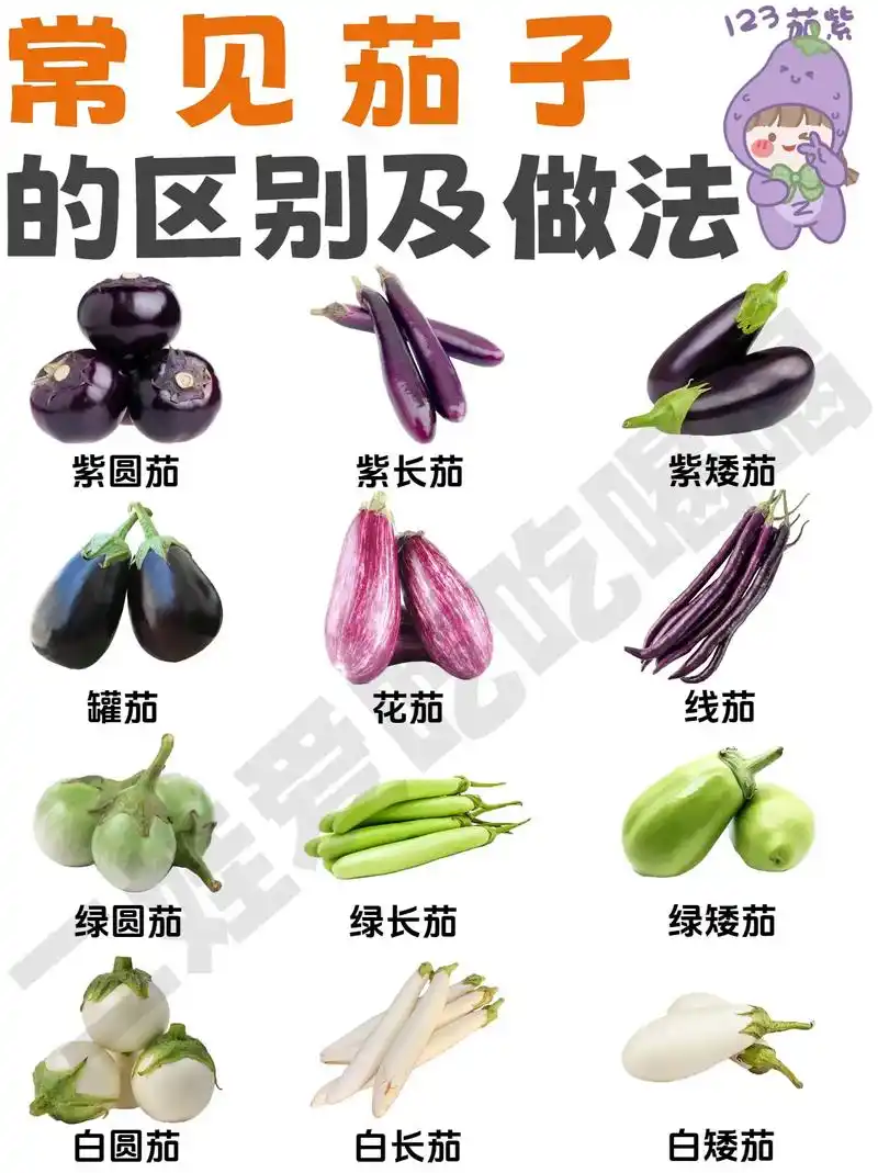 挑选茄子有技巧🍆选对种类✅做菜更香