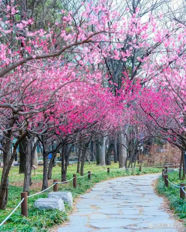 春天风景那么美,照片不要拍稀碎,这些春天摄影技巧学起来吧