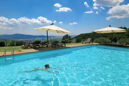 游泳池里女人游泳池里的女人照片