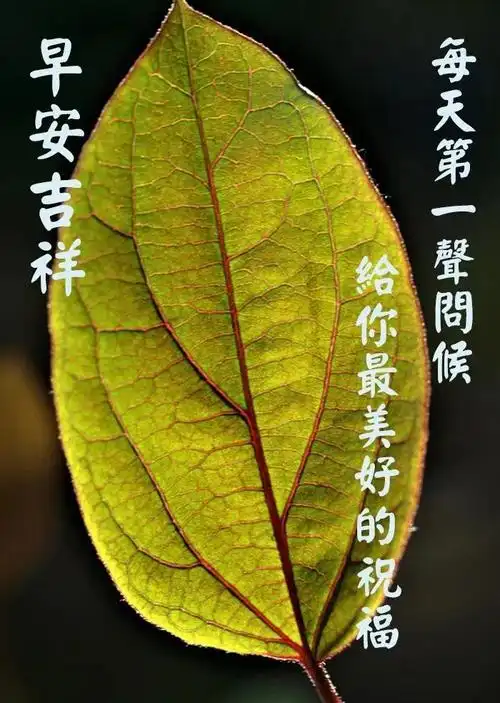 2021年7月7日最新特别漂亮的早安问候语图片,周三早上好问候励志语